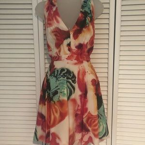 Alice + Olivia Dress